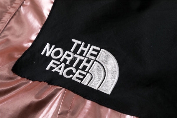 Supreme x The North Face TNF Metallic Winter Jacket